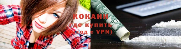 гашик Балахна