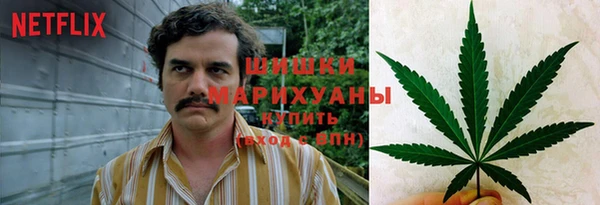 гашик Балахна