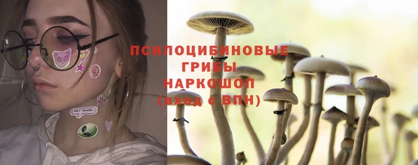 бошки Белокуриха