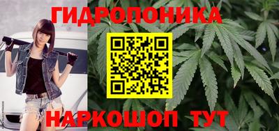 марихуана Краснознаменск