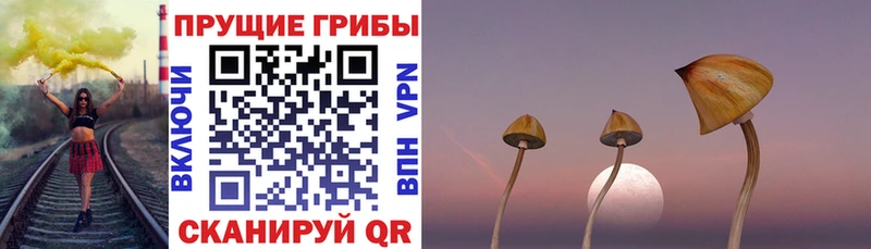 купить наркотики цена  Долгопрудный  blacksprut как зайти  мориарти Telegram  Галлюциногенные грибы ЛСД 