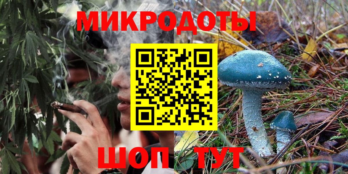 Долгопрудный  Псилоцибиновые грибы Psilocybe  Вход с VPN 