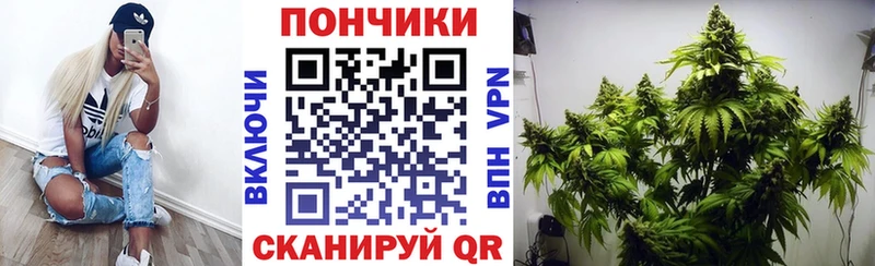 Канабис LSD WEED  дарк нет наркотические препараты  Долгопрудный 